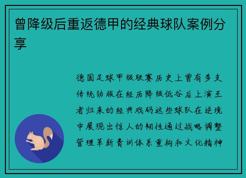 曾降级后重返德甲的经典球队案例分享