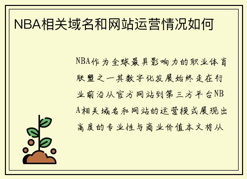 NBA相关域名和网站运营情况如何
